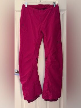 Burton AK Summit Gore Tex Snow Pants, Small, Berry/Pink